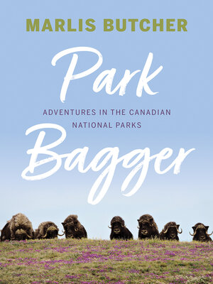Park Bagger - ebook